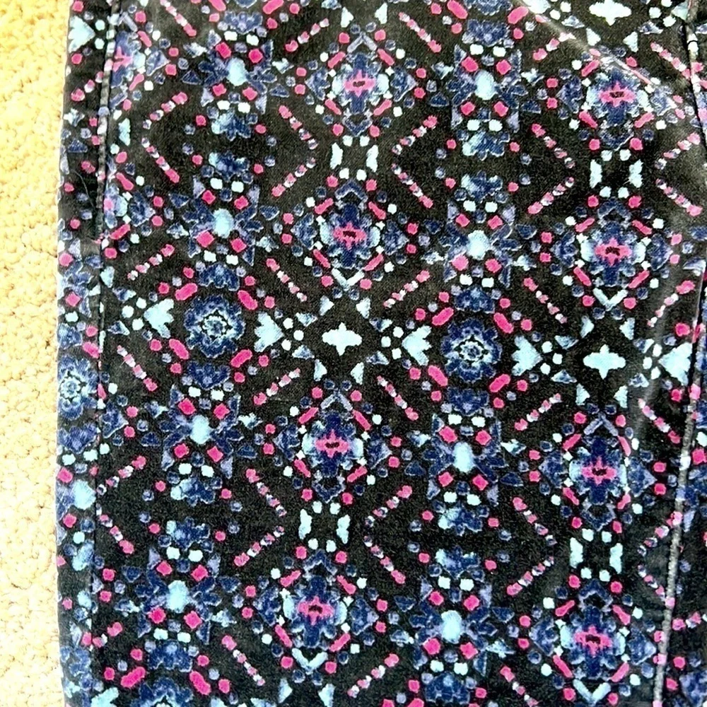 Free People Velour pants